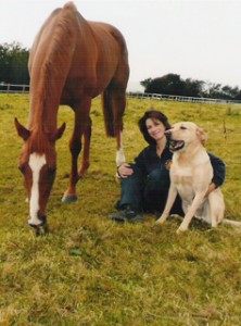 Physiotherapy for animals