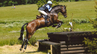 http://www.helenwesteventing.com