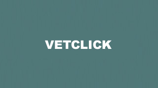 http://www.vetclick.com